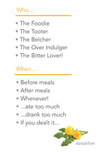 Load image into Gallery viewer, Maple Digestive Bitters